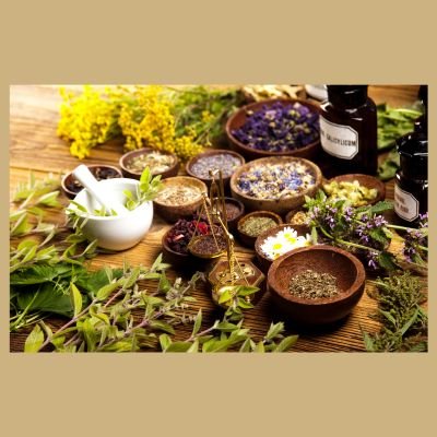 mangat ram & sons (5)